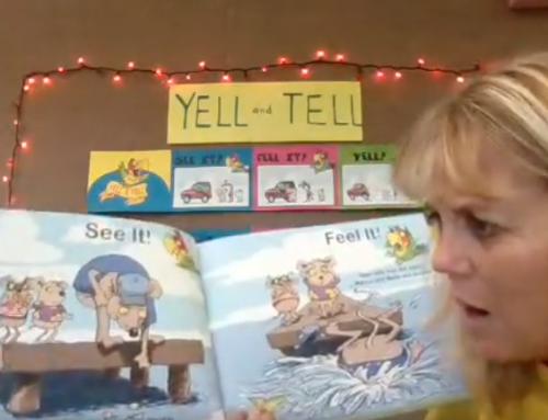 Yell and Tell at the Library